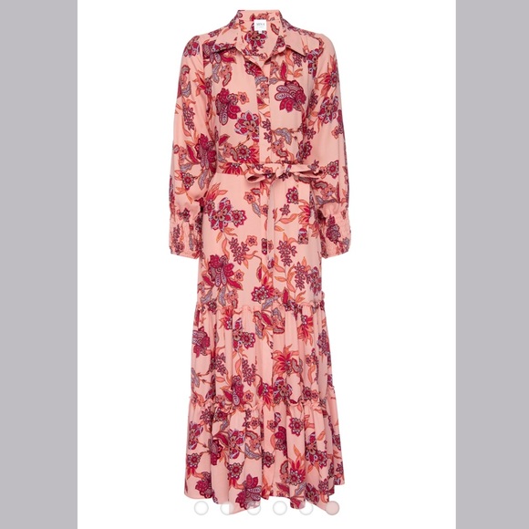MISA Los Angeles Esmee Maxi Dress in Paisley - Picture 6 of 11